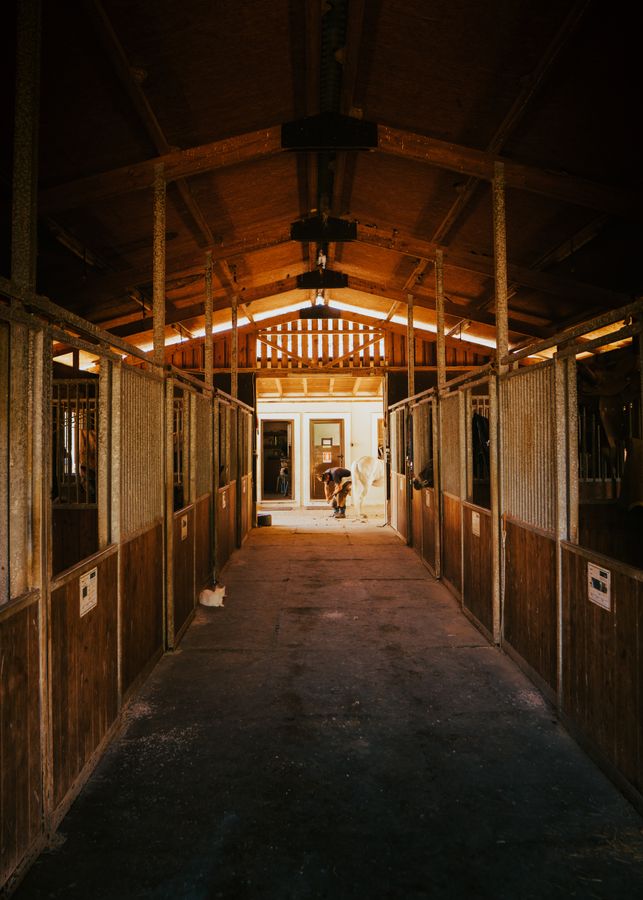 Aisle inside a wooden horse stable with stalls on both sides